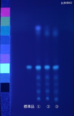 http://mpdb.nibiohn.go.jp/CONTENTS_ROOT/JP_IDENTIFICATION_PHOTO_DATA/JP_IDENTIFICATION_PHOTO_FILE/thumbnail/408.JPG