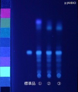 http://mpdb.nibiohn.go.jp/CONTENTS_ROOT/JP_IDENTIFICATION_PHOTO_DATA/JP_IDENTIFICATION_PHOTO_FILE/thumbnail/409.JPG