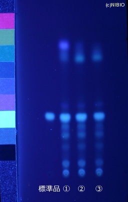 http://mpdb.nibiohn.go.jp/CONTENTS_ROOT/JP_IDENTIFICATION_PHOTO_DATA/JP_IDENTIFICATION_PHOTO_FILE/thumbnail/410.JPG