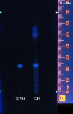http://mpdb.nibiohn.go.jp/CONTENTS_ROOT/JP_IDENTIFICATION_PHOTO_DATA/JP_IDENTIFICATION_PHOTO_FILE/thumbnail/411.jpg