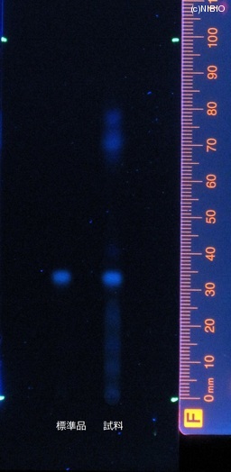http://mpdb.nibiohn.go.jp/CONTENTS_ROOT/JP_IDENTIFICATION_PHOTO_DATA/JP_IDENTIFICATION_PHOTO_FILE/thumbnail/412.jpg