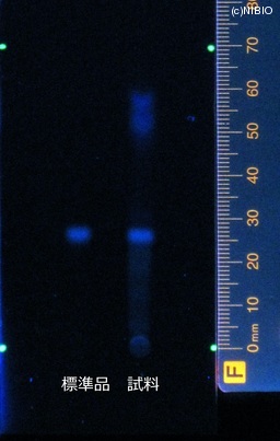 http://mpdb.nibiohn.go.jp/CONTENTS_ROOT/JP_IDENTIFICATION_PHOTO_DATA/JP_IDENTIFICATION_PHOTO_FILE/thumbnail/413.jpg