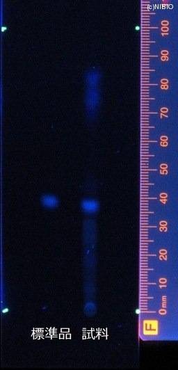 http://mpdb.nibiohn.go.jp/CONTENTS_ROOT/JP_IDENTIFICATION_PHOTO_DATA/JP_IDENTIFICATION_PHOTO_FILE/thumbnail/414.jpg
