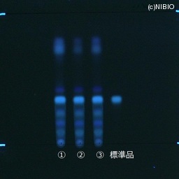 http://mpdb.nibiohn.go.jp/CONTENTS_ROOT/JP_IDENTIFICATION_PHOTO_DATA/JP_IDENTIFICATION_PHOTO_FILE/thumbnail/415.jpg