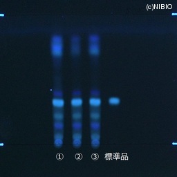 http://mpdb.nibiohn.go.jp/CONTENTS_ROOT/JP_IDENTIFICATION_PHOTO_DATA/JP_IDENTIFICATION_PHOTO_FILE/thumbnail/417.jpg