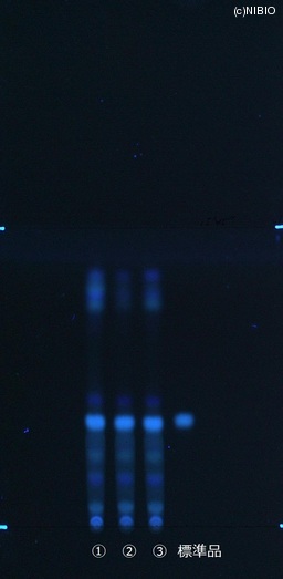 http://mpdb.nibiohn.go.jp/CONTENTS_ROOT/JP_IDENTIFICATION_PHOTO_DATA/JP_IDENTIFICATION_PHOTO_FILE/thumbnail/418.jpg