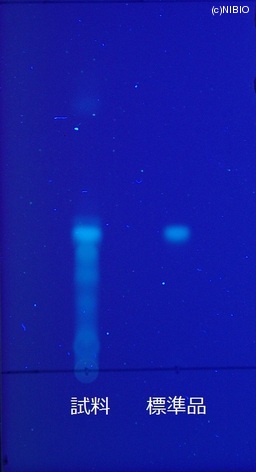 http://mpdb.nibiohn.go.jp/CONTENTS_ROOT/JP_IDENTIFICATION_PHOTO_DATA/JP_IDENTIFICATION_PHOTO_FILE/thumbnail/419.JPG