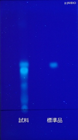 http://mpdb.nibiohn.go.jp/CONTENTS_ROOT/JP_IDENTIFICATION_PHOTO_DATA/JP_IDENTIFICATION_PHOTO_FILE/thumbnail/421.JPG