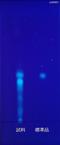 http://mpdb.nibiohn.go.jp/CONTENTS_ROOT/JP_IDENTIFICATION_PHOTO_DATA/JP_IDENTIFICATION_PHOTO_FILE/thumbnail/422.JPG
