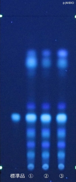 http://mpdb.nibiohn.go.jp/CONTENTS_ROOT/JP_IDENTIFICATION_PHOTO_DATA/JP_IDENTIFICATION_PHOTO_FILE/thumbnail/424.jpg