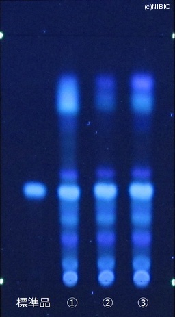 http://mpdb.nibiohn.go.jp/CONTENTS_ROOT/JP_IDENTIFICATION_PHOTO_DATA/JP_IDENTIFICATION_PHOTO_FILE/thumbnail/425.jpg