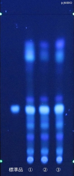http://mpdb.nibiohn.go.jp/CONTENTS_ROOT/JP_IDENTIFICATION_PHOTO_DATA/JP_IDENTIFICATION_PHOTO_FILE/thumbnail/426.jpg