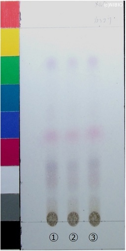 http://mpdb.nibiohn.go.jp/CONTENTS_ROOT/JP_IDENTIFICATION_PHOTO_DATA/JP_IDENTIFICATION_PHOTO_FILE/thumbnail/283.jpg