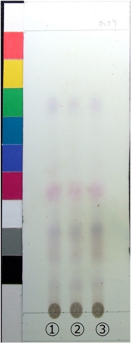 http://mpdb.nibiohn.go.jp/CONTENTS_ROOT/JP_IDENTIFICATION_PHOTO_DATA/JP_IDENTIFICATION_PHOTO_FILE/thumbnail/284.jpg