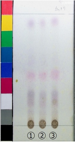 http://mpdb.nibiohn.go.jp/CONTENTS_ROOT/JP_IDENTIFICATION_PHOTO_DATA/JP_IDENTIFICATION_PHOTO_FILE/thumbnail/285.jpg