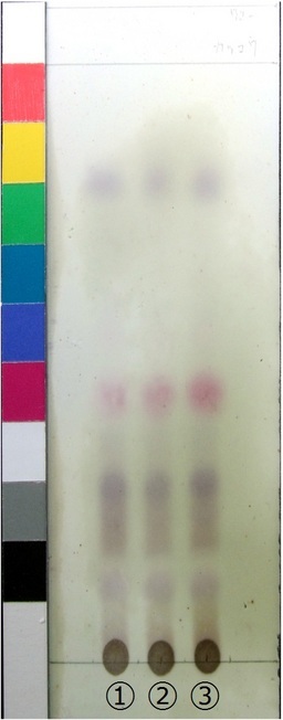 http://mpdb.nibiohn.go.jp/CONTENTS_ROOT/JP_IDENTIFICATION_PHOTO_DATA/JP_IDENTIFICATION_PHOTO_FILE/thumbnail/286.jpg