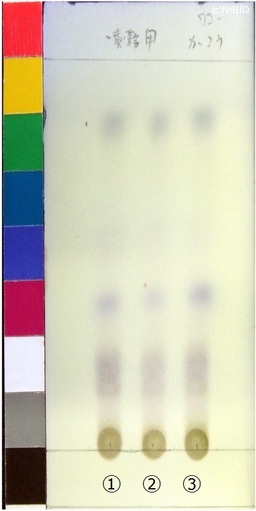 http://mpdb.nibiohn.go.jp/CONTENTS_ROOT/JP_IDENTIFICATION_PHOTO_DATA/JP_IDENTIFICATION_PHOTO_FILE/thumbnail/288.jpg