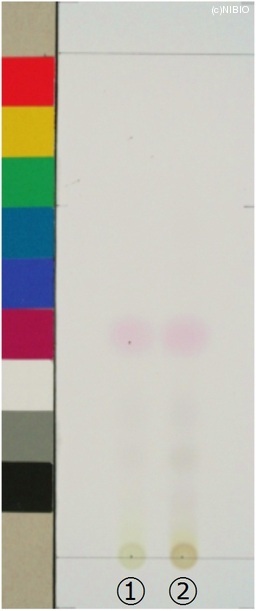 http://mpdb.nibiohn.go.jp/CONTENTS_ROOT/JP_IDENTIFICATION_PHOTO_DATA/JP_IDENTIFICATION_PHOTO_FILE/thumbnail/392.jpg