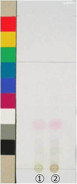http://mpdb.nibiohn.go.jp/CONTENTS_ROOT/JP_IDENTIFICATION_PHOTO_DATA/JP_IDENTIFICATION_PHOTO_FILE/thumbnail/393.jpg