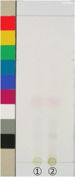 http://mpdb.nibiohn.go.jp/CONTENTS_ROOT/JP_IDENTIFICATION_PHOTO_DATA/JP_IDENTIFICATION_PHOTO_FILE/thumbnail/394.jpg