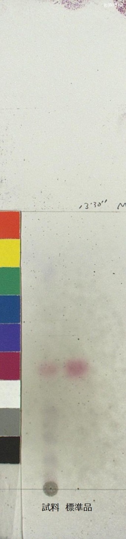 http://mpdb.nibiohn.go.jp/CONTENTS_ROOT/JP_IDENTIFICATION_PHOTO_DATA/JP_IDENTIFICATION_PHOTO_FILE/thumbnail/396.jpg