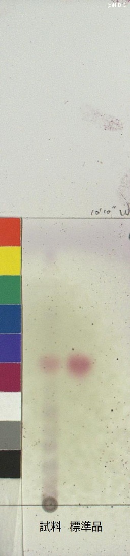 http://mpdb.nibiohn.go.jp/CONTENTS_ROOT/JP_IDENTIFICATION_PHOTO_DATA/JP_IDENTIFICATION_PHOTO_FILE/thumbnail/398.jpg