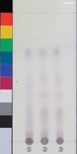 http://mpdb.nibiohn.go.jp/CONTENTS_ROOT/JP_IDENTIFICATION_PHOTO_DATA/JP_IDENTIFICATION_PHOTO_FILE/thumbnail/400.JPG