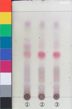 http://mpdb.nibiohn.go.jp/CONTENTS_ROOT/JP_IDENTIFICATION_PHOTO_DATA/JP_IDENTIFICATION_PHOTO_FILE/thumbnail/401.JPG