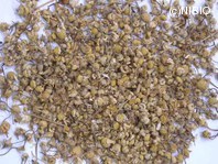 http://mpdb.nibiohn.go.jp/CONTENTS_ROOT/PLANT_PHOTO_DATA/PHOTO_FILE/thumbnail/990.jpg
