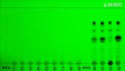 http://mpdb.nibiohn.go.jp/CONTENTS_ROOT/JP_IDENTIFICATION_PHOTO_DATA/JP_IDENTIFICATION_PHOTO_FILE/thumbnail/1326.jpg