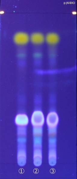 http://mpdb.nibiohn.go.jp/CONTENTS_ROOT/JP_IDENTIFICATION_PHOTO_DATA/JP_IDENTIFICATION_PHOTO_FILE/thumbnail/199.jpg