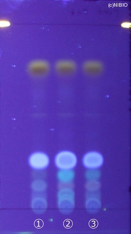 http://mpdb.nibiohn.go.jp/CONTENTS_ROOT/JP_IDENTIFICATION_PHOTO_DATA/JP_IDENTIFICATION_PHOTO_FILE/thumbnail/201.jpg