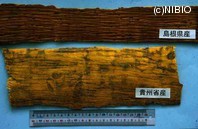 http://mpdb.nibiohn.go.jp/CONTENTS_ROOT/PLANT_PHOTO_DATA/PHOTO_FILE/thumbnail/94.jpg