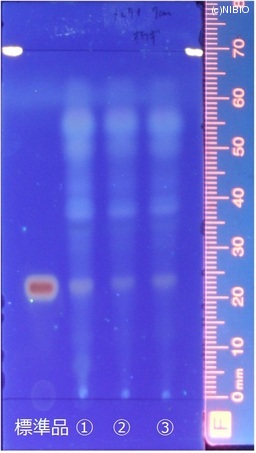 http://mpdb.nibiohn.go.jp/CONTENTS_ROOT/JP_IDENTIFICATION_PHOTO_DATA/JP_IDENTIFICATION_PHOTO_FILE/thumbnail/163.jpg