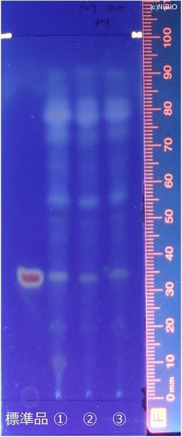http://mpdb.nibiohn.go.jp/CONTENTS_ROOT/JP_IDENTIFICATION_PHOTO_DATA/JP_IDENTIFICATION_PHOTO_FILE/thumbnail/164.jpg