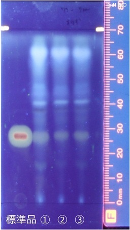 http://mpdb.nibiohn.go.jp/CONTENTS_ROOT/JP_IDENTIFICATION_PHOTO_DATA/JP_IDENTIFICATION_PHOTO_FILE/thumbnail/165.jpg