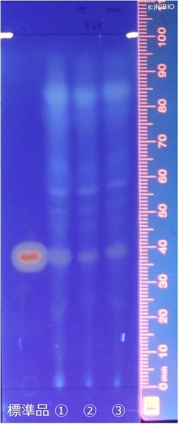 http://mpdb.nibiohn.go.jp/CONTENTS_ROOT/JP_IDENTIFICATION_PHOTO_DATA/JP_IDENTIFICATION_PHOTO_FILE/thumbnail/166.jpg