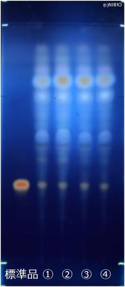 http://mpdb.nibiohn.go.jp/CONTENTS_ROOT/JP_IDENTIFICATION_PHOTO_DATA/JP_IDENTIFICATION_PHOTO_FILE/thumbnail/730.jpg