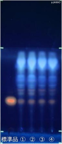 http://mpdb.nibiohn.go.jp/CONTENTS_ROOT/JP_IDENTIFICATION_PHOTO_DATA/JP_IDENTIFICATION_PHOTO_FILE/thumbnail/731.jpg