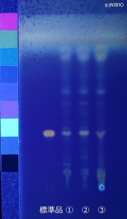 http://mpdb.nibiohn.go.jp/CONTENTS_ROOT/JP_IDENTIFICATION_PHOTO_DATA/JP_IDENTIFICATION_PHOTO_FILE/thumbnail/734.JPG