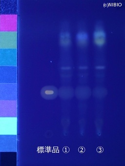 http://mpdb.nibiohn.go.jp/CONTENTS_ROOT/JP_IDENTIFICATION_PHOTO_DATA/JP_IDENTIFICATION_PHOTO_FILE/thumbnail/735.JPG