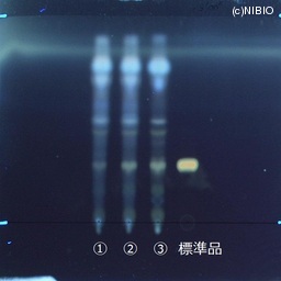 http://mpdb.nibiohn.go.jp/CONTENTS_ROOT/JP_IDENTIFICATION_PHOTO_DATA/JP_IDENTIFICATION_PHOTO_FILE/thumbnail/737.jpg