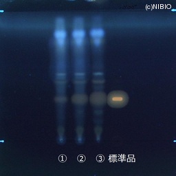 http://mpdb.nibiohn.go.jp/CONTENTS_ROOT/JP_IDENTIFICATION_PHOTO_DATA/JP_IDENTIFICATION_PHOTO_FILE/thumbnail/739.jpg