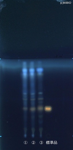 http://mpdb.nibiohn.go.jp/CONTENTS_ROOT/JP_IDENTIFICATION_PHOTO_DATA/JP_IDENTIFICATION_PHOTO_FILE/thumbnail/740.jpg