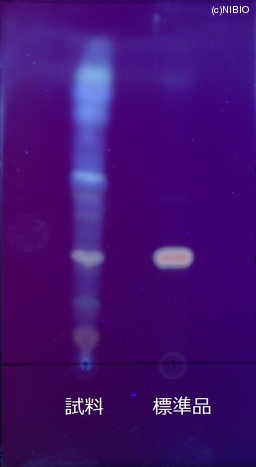 http://mpdb.nibiohn.go.jp/CONTENTS_ROOT/JP_IDENTIFICATION_PHOTO_DATA/JP_IDENTIFICATION_PHOTO_FILE/thumbnail/741.JPG
