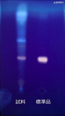 http://mpdb.nibiohn.go.jp/CONTENTS_ROOT/JP_IDENTIFICATION_PHOTO_DATA/JP_IDENTIFICATION_PHOTO_FILE/thumbnail/743.JPG