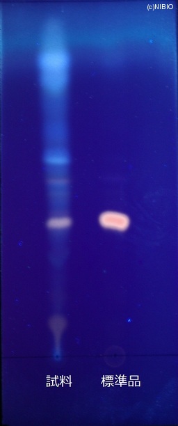 http://mpdb.nibiohn.go.jp/CONTENTS_ROOT/JP_IDENTIFICATION_PHOTO_DATA/JP_IDENTIFICATION_PHOTO_FILE/thumbnail/744.JPG