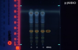 http://mpdb.nibiohn.go.jp/CONTENTS_ROOT/JP_IDENTIFICATION_PHOTO_DATA/JP_IDENTIFICATION_PHOTO_FILE/thumbnail/745.jpg