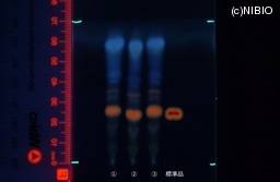 http://mpdb.nibiohn.go.jp/CONTENTS_ROOT/JP_IDENTIFICATION_PHOTO_DATA/JP_IDENTIFICATION_PHOTO_FILE/thumbnail/746.jpg