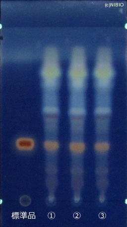 http://mpdb.nibiohn.go.jp/CONTENTS_ROOT/JP_IDENTIFICATION_PHOTO_DATA/JP_IDENTIFICATION_PHOTO_FILE/thumbnail/748.jpg